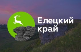 Сайт ТИЦ Елецкий край